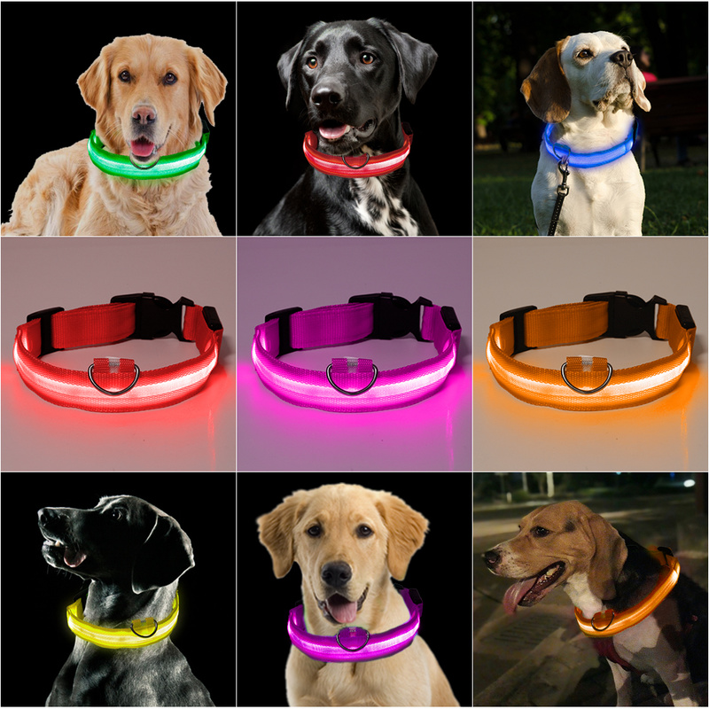 Glowing Dog Collar Adjustable