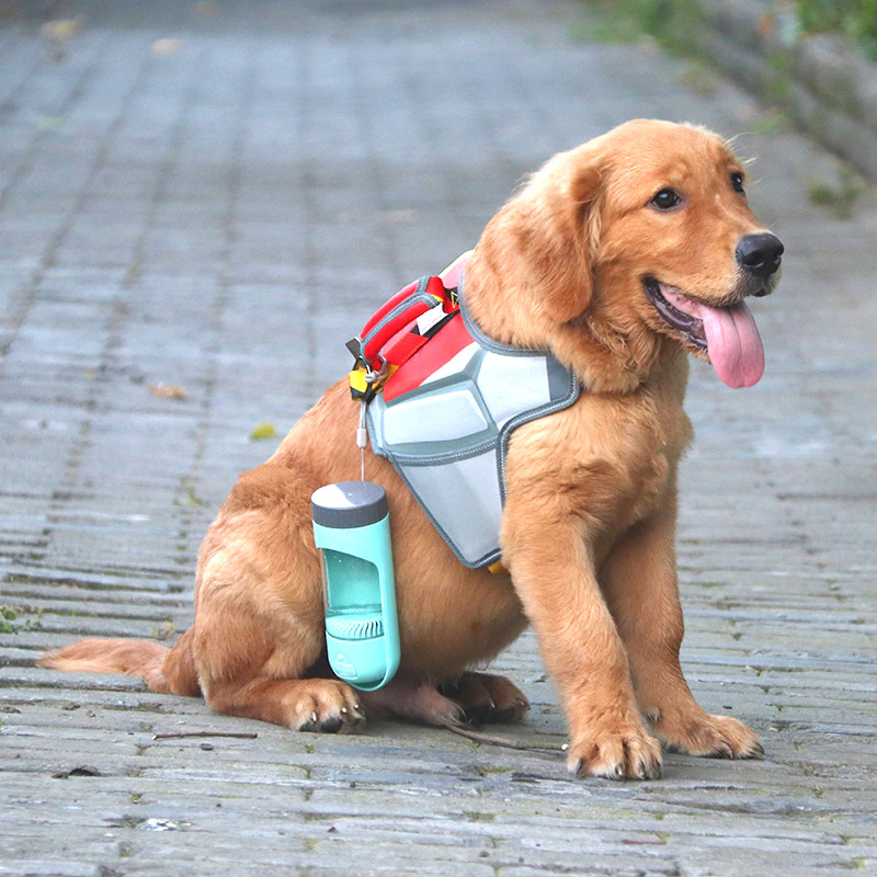 Portable Dog Water Bottles