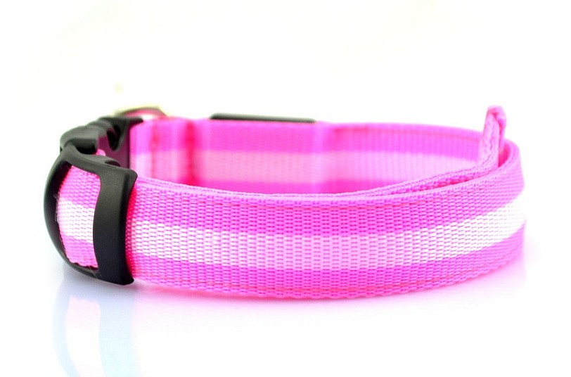 Glowing Dog Collar Adjustable