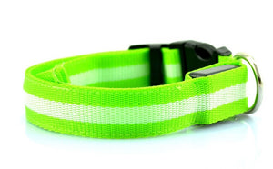 Glowing Dog Collar Adjustable