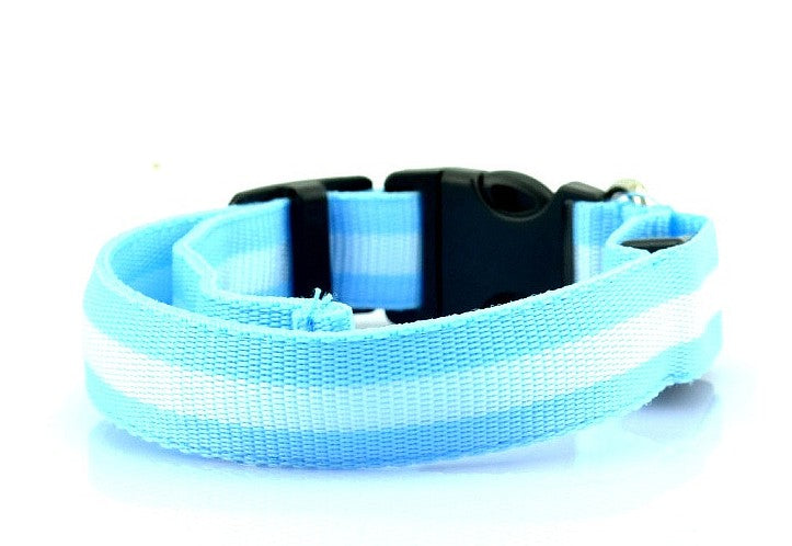 Glowing Dog Collar Adjustable