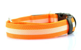 Glowing Dog Collar Adjustable