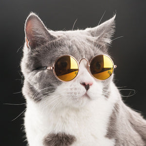 Pet Cat Glasses Dog Glasses Pet Products for Little Dog Cat Eye Wear Dog Sunglasses Photos Props Accessories Pet Supplies Toy