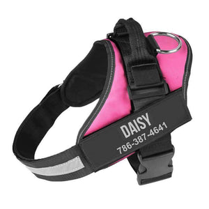 Dog Harness Personalized No Pull