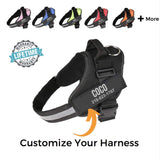 Dog Harness Personalized No Pull