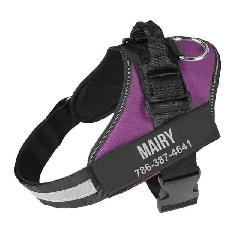 Dog Harness Personalized No Pull